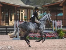 Tryon Fall 5