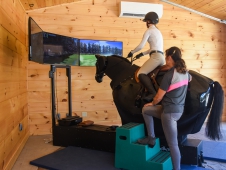 Equine Simulator