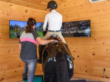 Equine Simulator