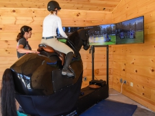 Equine Simulator