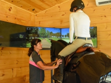 Equine Simulator