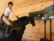 Equine Simulator