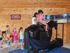 Equine Simulator