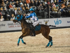Gladiator Polo
