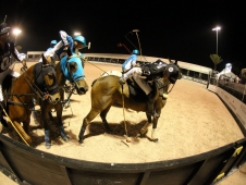 Gladiator Polo