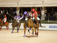 Gladiator Polo