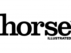 Untitled design - Horse Illustrated